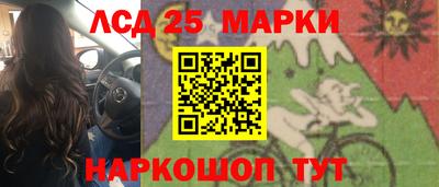 шишки Ачхой-Мартан