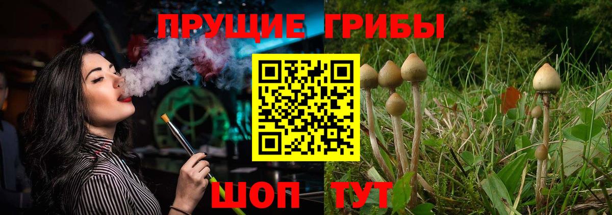 Галлюциногенные грибы прущие грибы  Вход с VPN  Псилоцибиновые грибы мицелий  Зима 
