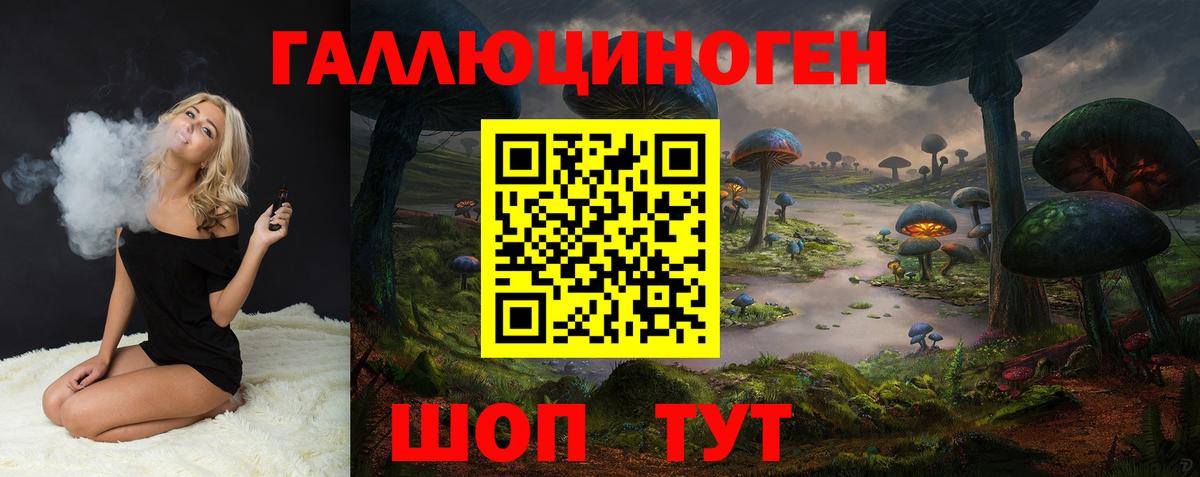 Галлюциногенные грибы Psilocybe Зима